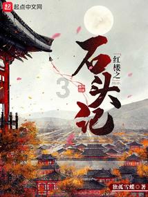 狂野的飙客
